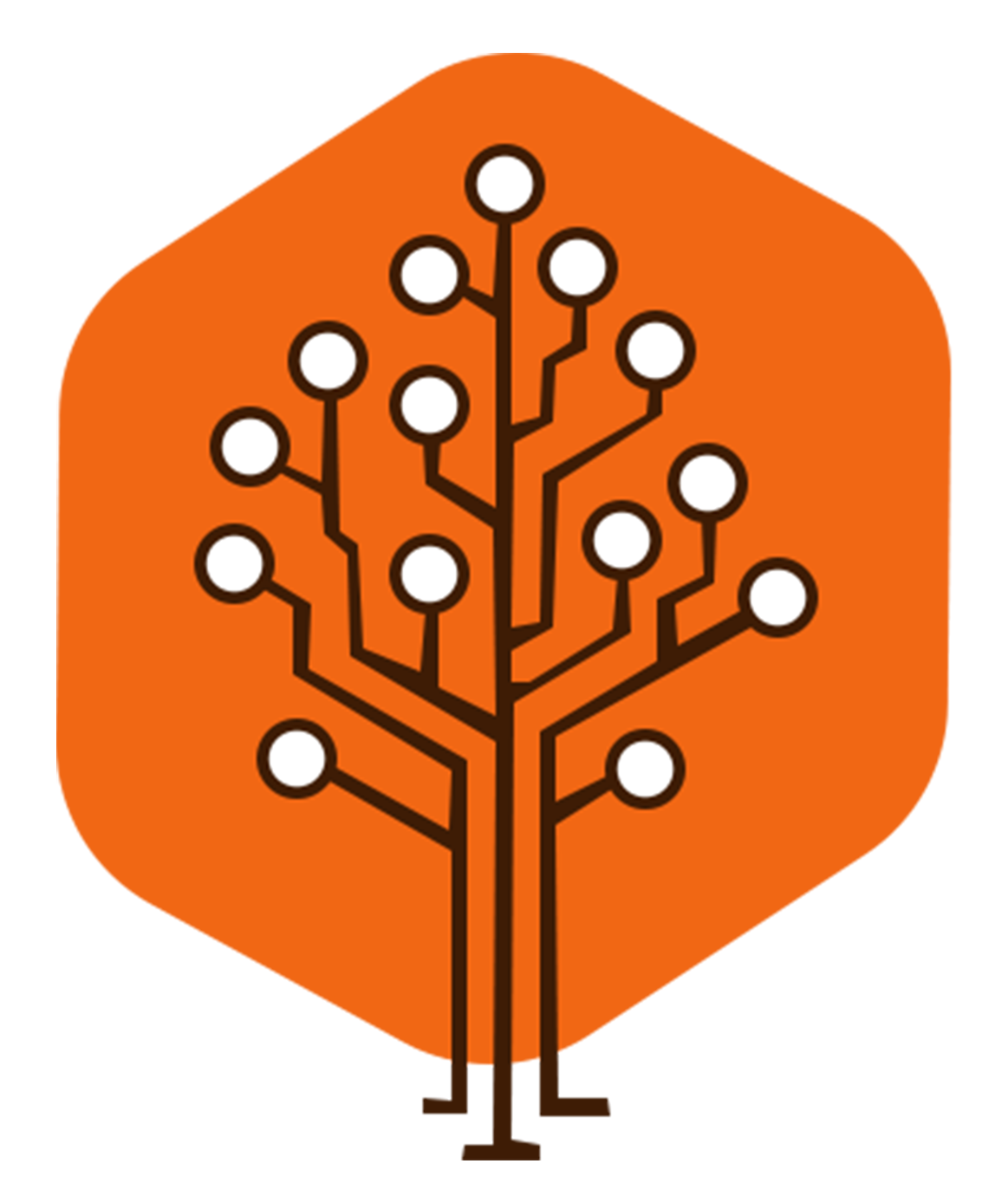 Digital Storm Technologies Logo